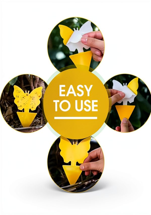 Cleanuper Gnat Traps Sticky Non Toxic 58 Count-2