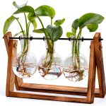 HUABEI Wooden Terrarium Stand Glass Vases Plant Display-0