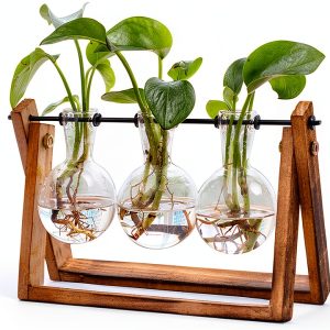HUABEI Wooden Terrarium Stand Glass Vases Plant Display-0