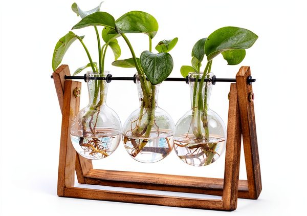 HUABEI Wooden Terrarium Stand Glass Vases Plant Display-0