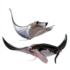 Marine Ecology eBook Princeton Press Print-0
