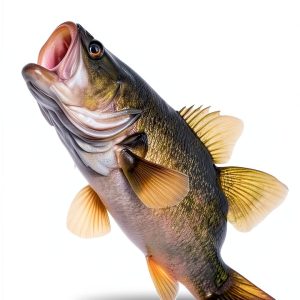 Fishing Fix Guide to Freshwater Angling for Teens 2025 Edition-0