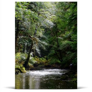 Amazon Kindle eBook Guide to Fishing Biology by Author-0