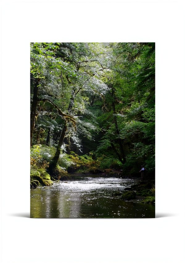 Amazon Kindle eBook Guide to Fishing Biology by Author-0
