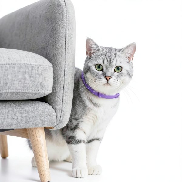 Calming Collar for Cats Guowo 4 Pack Purple Adjustable 15 Inch-3