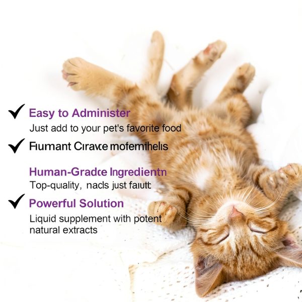 Melatonin for Cats Asusxcli Calming Treats Natural Plant Formula-4