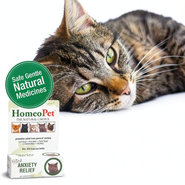 HomeoPet Feline Anxiety Relief Natural Stress Support for Cats 15ml-1