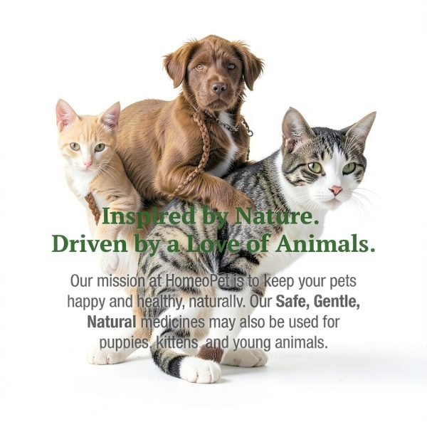 HomeoPet Feline Anxiety Relief Natural Stress Support for Cats 15ml-6