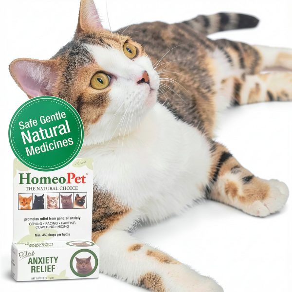 HomeoPet Feline Anxiety Relief Natural Stress Support for Cats 15ml-2